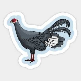 Blue eared pheasant bird cartoon illustration Sticker